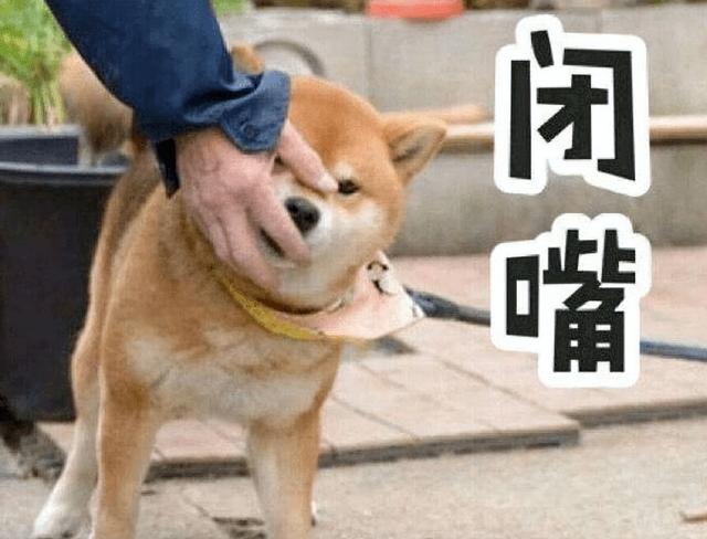 20221111210203_99481 20221111210203_99481