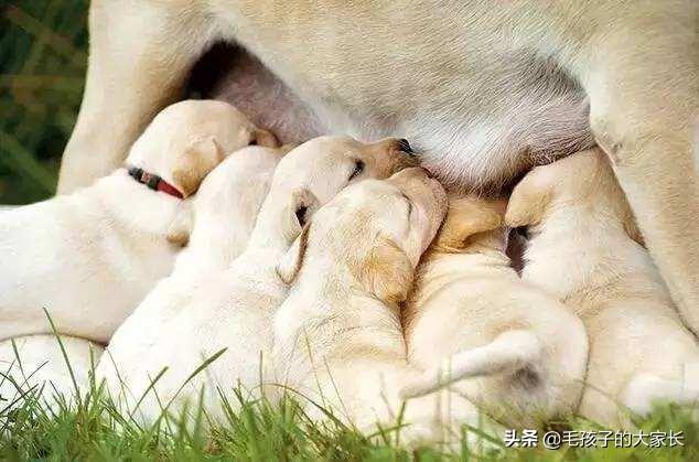 20221111211919_39155