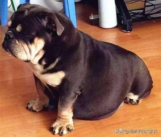 20221111211919_49572