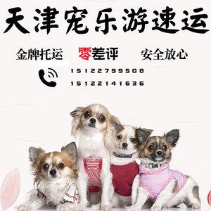 邮寄小狗费用多少钱(邮寄小狗需要多少钱)-警犬训练器材厂家 _警犬训练用品_工作犬训练用品-南京开久警犬装备