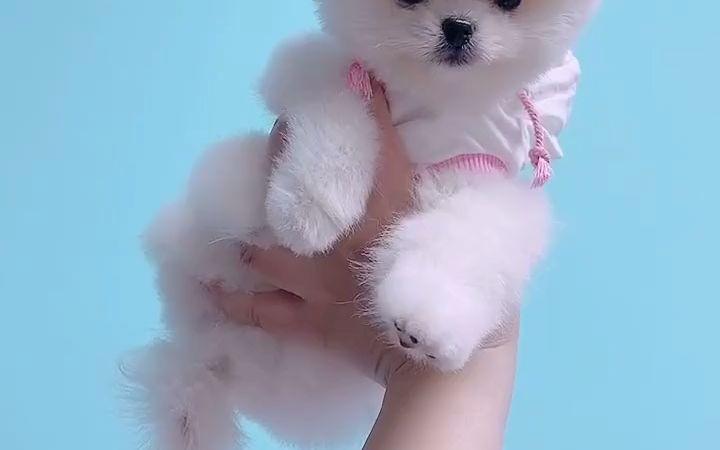 20221111212347_37094