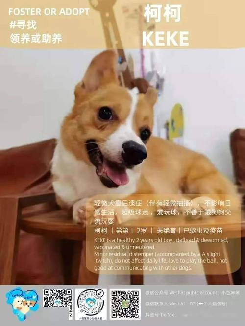 20221111212347_81437