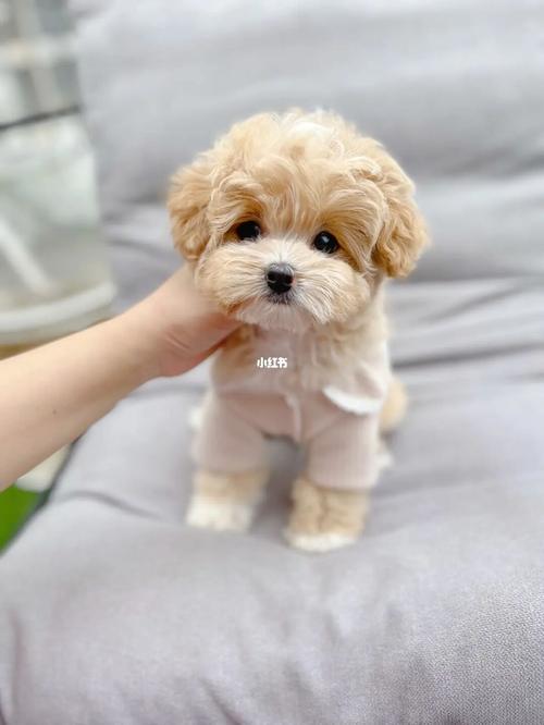 20221111215255_21463 20221111215255_21463