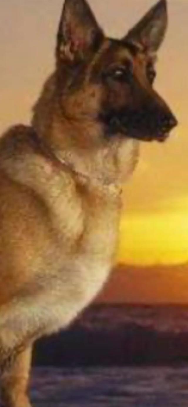 20221111215359_40012