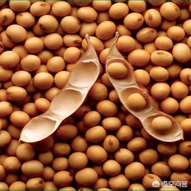 20221111215639_72690