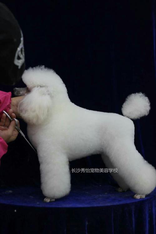 20221111221912_22749