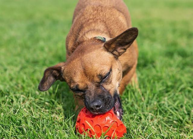 20221111222023_68817 20221111222023_68817