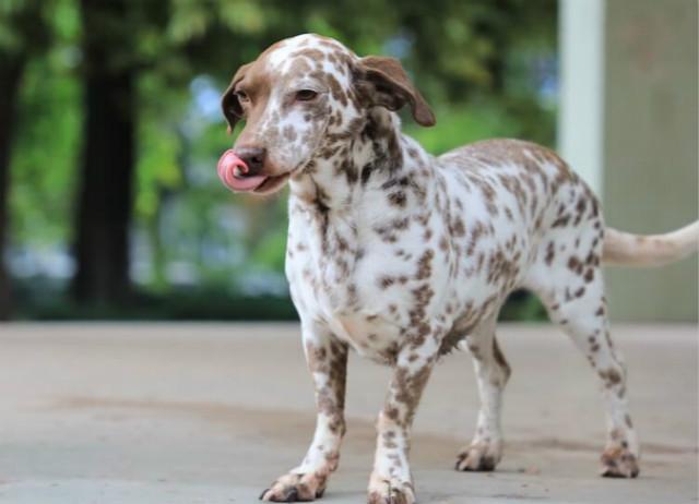 20221111222023_93159 20221111222023_93159