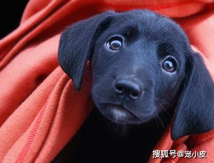 20221111231602_37048 20221111231602_37048