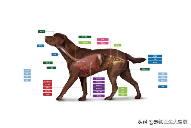 20221111232031_99092 20221111232031_99092