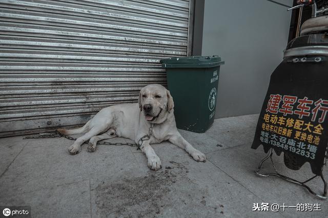 20221112085401_27628 20221112085401_27628