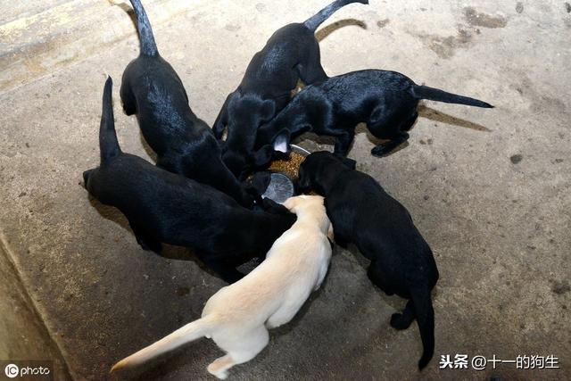 20221112085401_91208