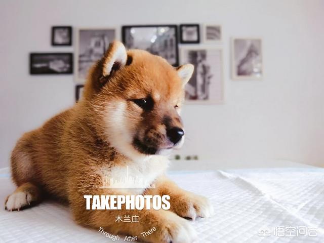 20221112090802_82728 20221112090802_82728