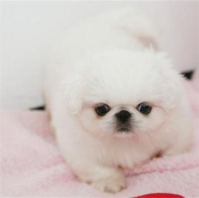 20221112091756_16252