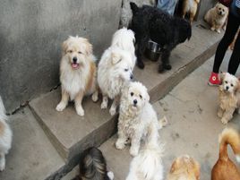 20221112091849_63350 20221112091849_63350