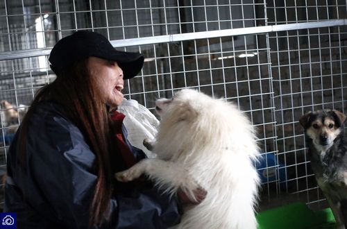 20221112091849_91767 20221112091849_91767