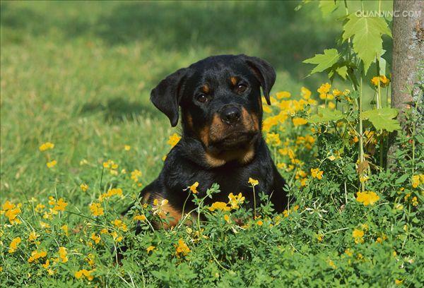 20221112094342_19223