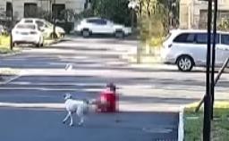 20221112095334_18522 20221112095334_18522