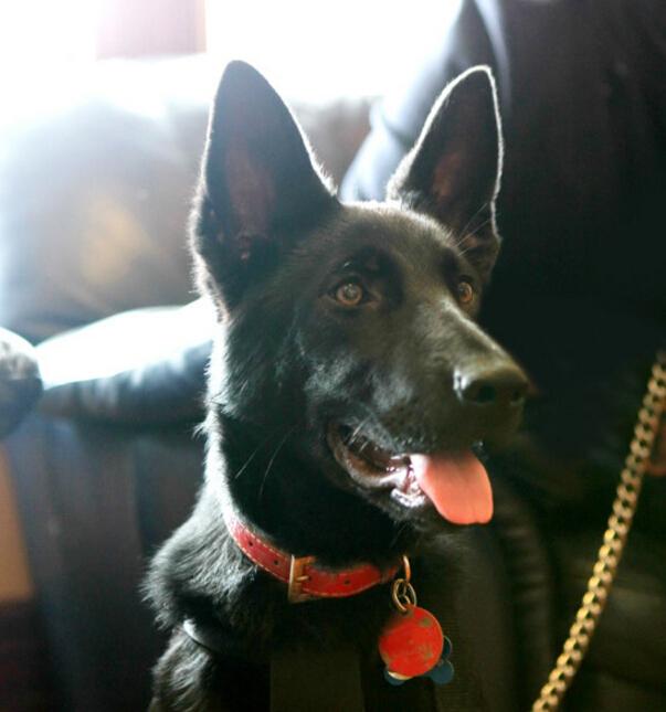 20221112095850_41617