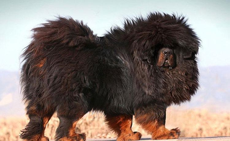 20221112100054_13554