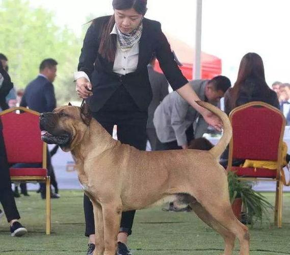 20221112101124_43927 20221112101124_43927