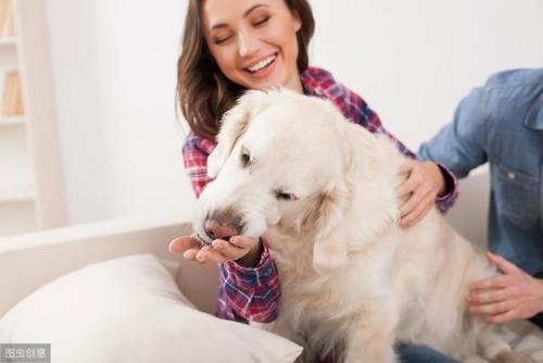 20221112102819_81825 20221112102819_81825