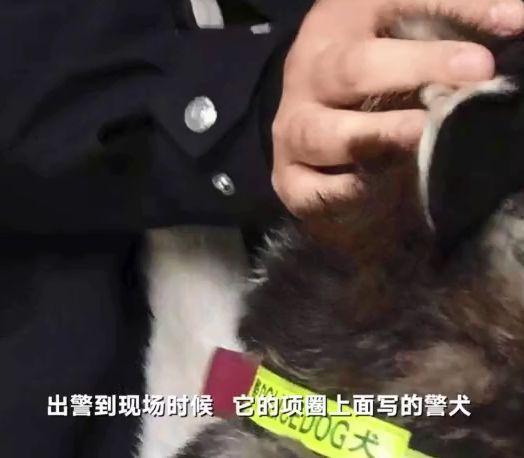 20221112113155_36034