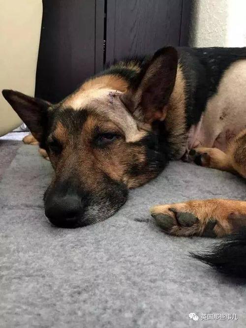 20221112113155_36634