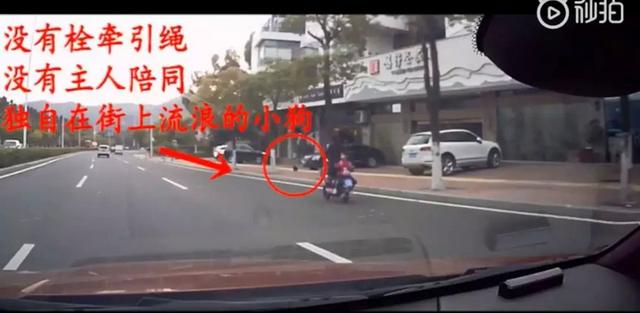 20221112113310_26041