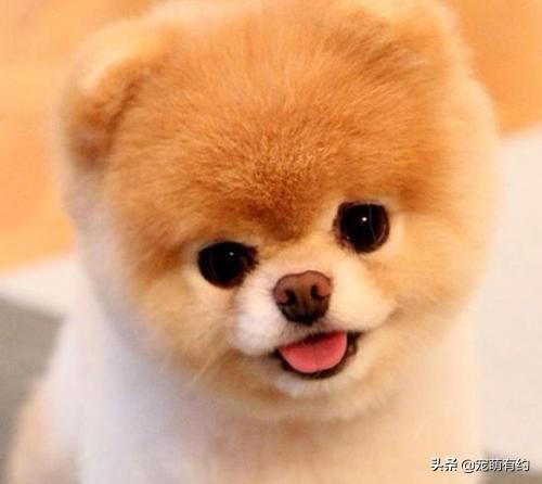 20221112123321_42386