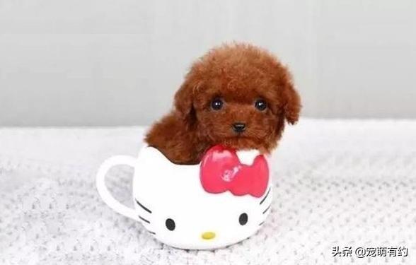 20221112123321_60278