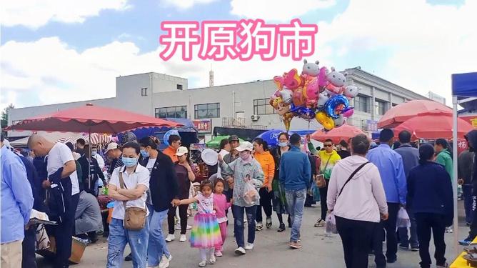 20221112124427_43752