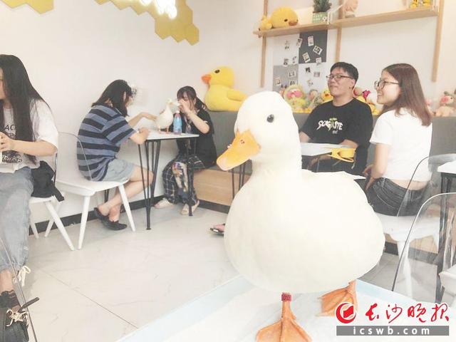 20221112131148_13112