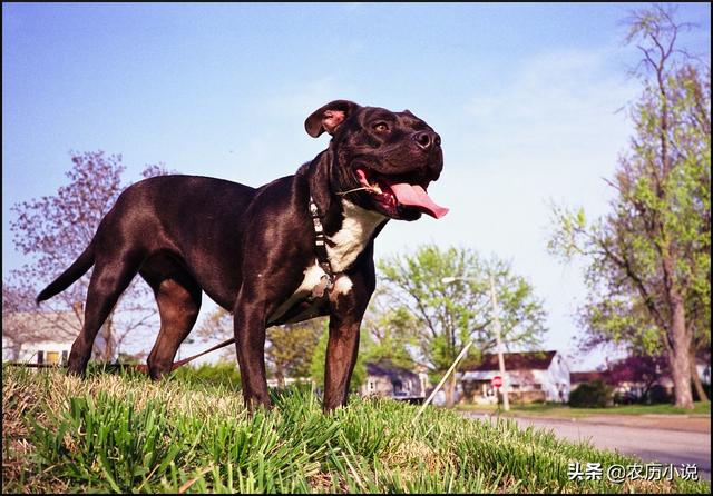 20221112131349_32284 20221112131349_32284