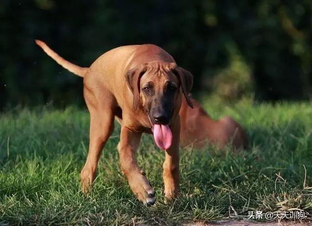 20221112131609_28416 20221112131609_28416