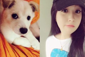 一回家狗狗就要上我全集(一回家狗狗就要上我全集南京到邯郸飞机票)-警犬训练器材厂家 _警犬训练用品_工作犬训练用品-南京开久警犬装备