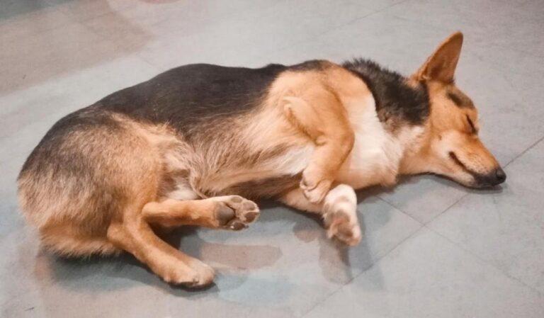 20221112135935_49448 20221112135935_49448