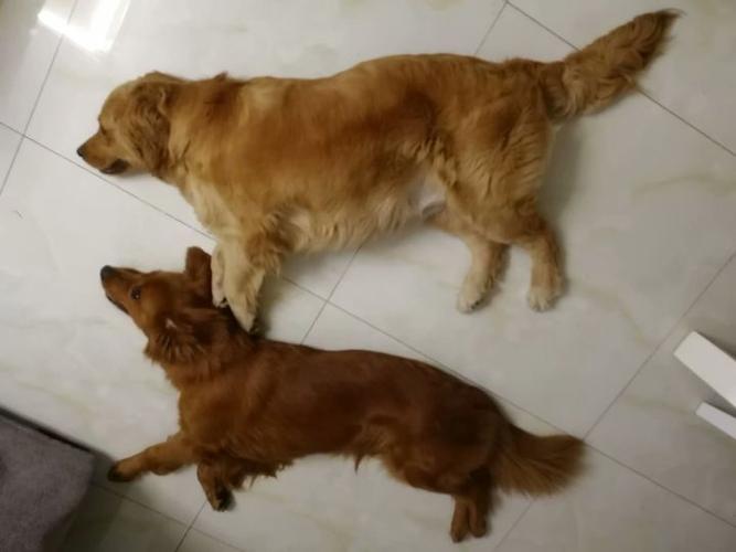 20221112135935_84201 20221112135935_84201