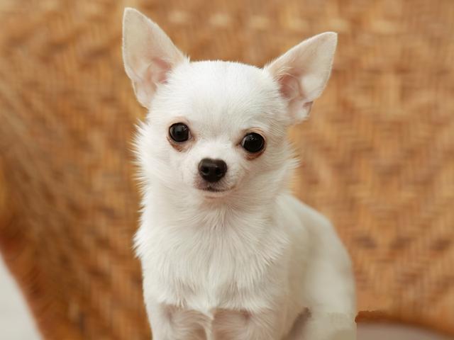 20221112140858_72193