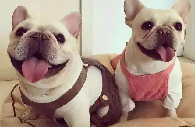 20221112140859_71993