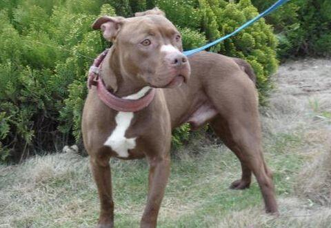 20221112142427_84907 20221112142427_84907