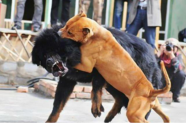 20221112142428_16872 20221112142428_16872