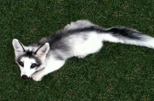 20221112143548_66304