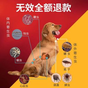 宠物狗体外驱虫 *** (宠物狗体外驱虫多少钱)-警犬训练器材厂家 _警犬训练用品_工作犬训练用品-南京开久警犬装备