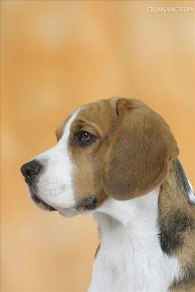 20221112154032_59532