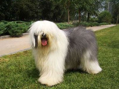 20221112154936_58044