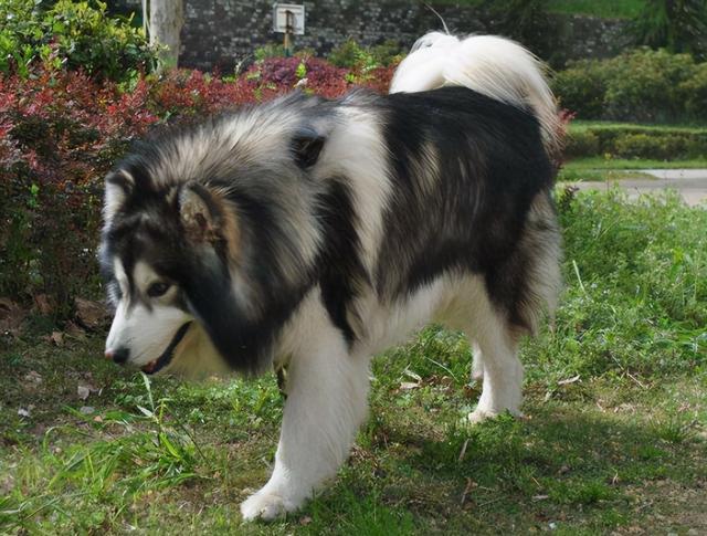 20221112154936_84888