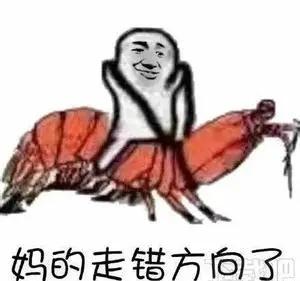 20221112161153_31105 20221112161153_31105