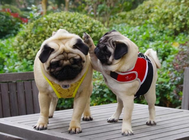 20221112162007_70626