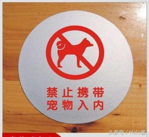 禁止狗进入的地方  禁止狗进入的牌子-警犬训练器材厂家 _警犬训练用品_工作犬训练用品-南京开久警犬装备